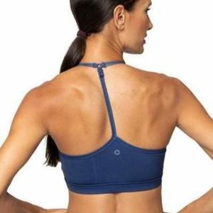 AR-33 Zion Ocean Fade Bra Top - Large